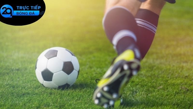 Cá Độ Bóng Đá Thông Minh - Bí Quyết Phân Tích Quản Lý Rủi Ro 4 Tâm lý trong cá cược