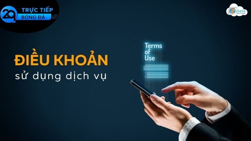 Đối tượng được áp dụng ở trong điều khoản sử dụng
