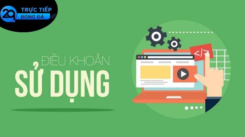 Quyền và nghĩa vụ người chơi