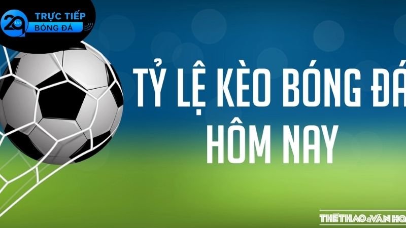 Kèo Bóng Đá Là Gì? Khám Phá Sự Hấp Dẫn Của Cá Độ Thể Thao 2 Kèo bóng đá là gì?