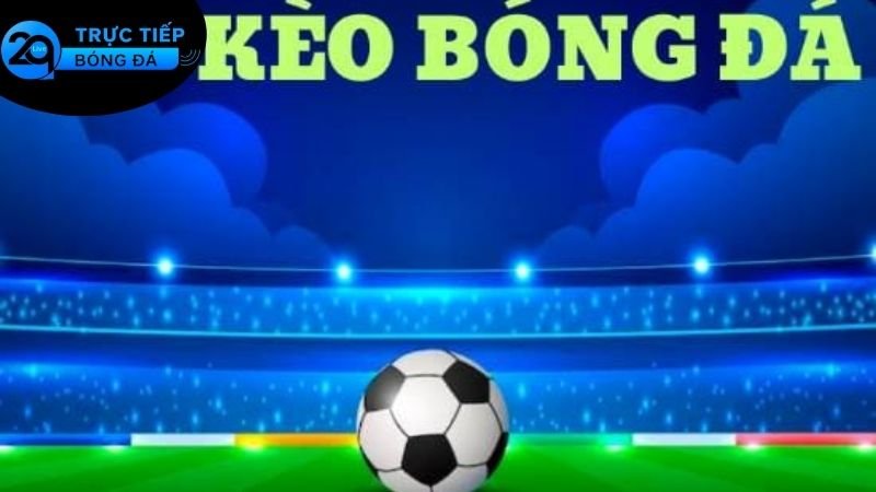 Kèo Bóng Đá Là Gì? Khám Phá Sự Hấp Dẫn Của Cá Độ Thể Thao 3 Các loại kèo và tỷ lệ cược