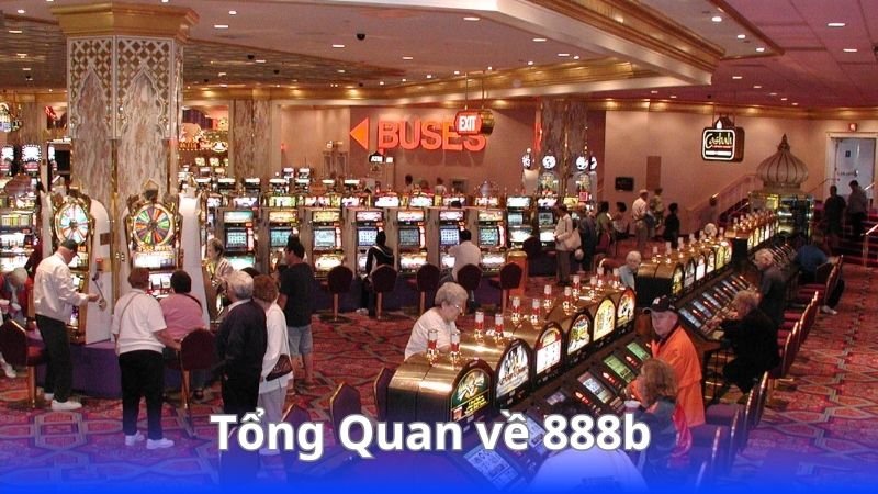 tong-quan-ve-888b