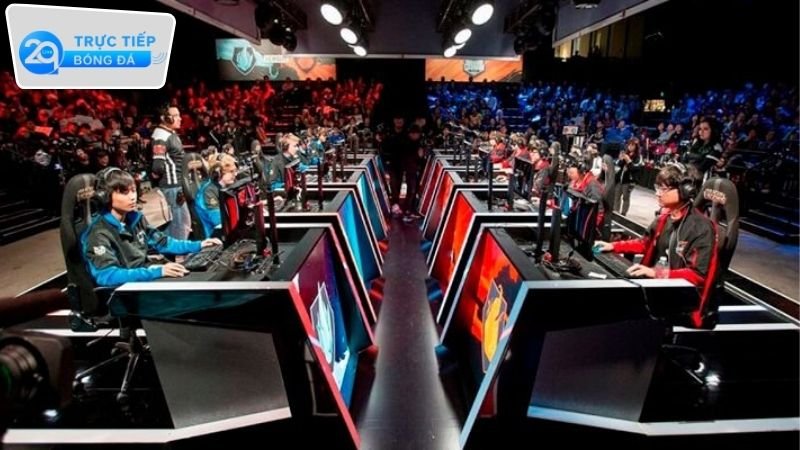 dat-keo-esports-2q